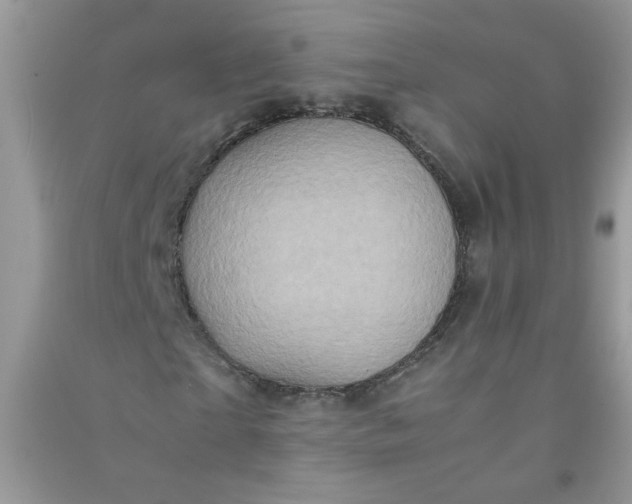 X0000091010865200708161956