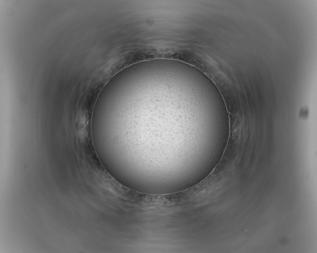 X0000091010866200708161956