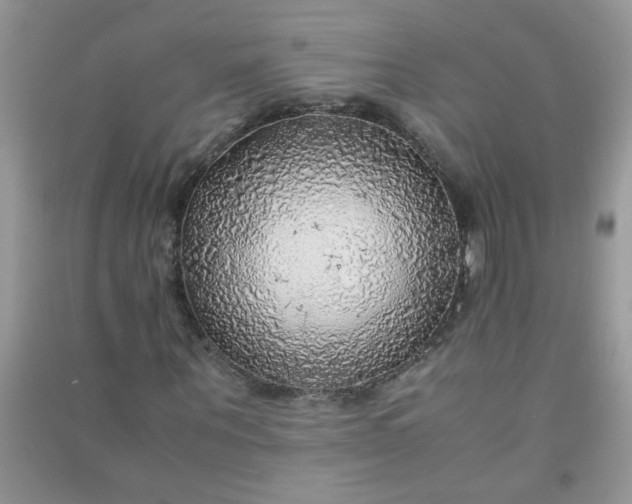 X0000091010867200708161956