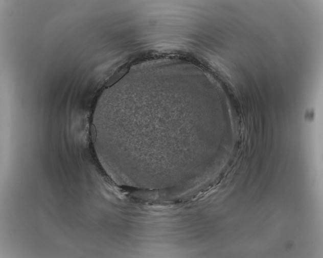 X0000091010868200708161956