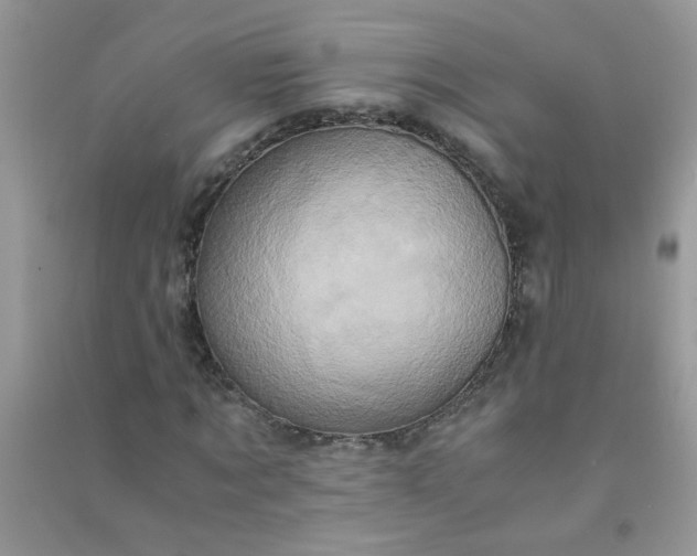 X0000091010869200708161956