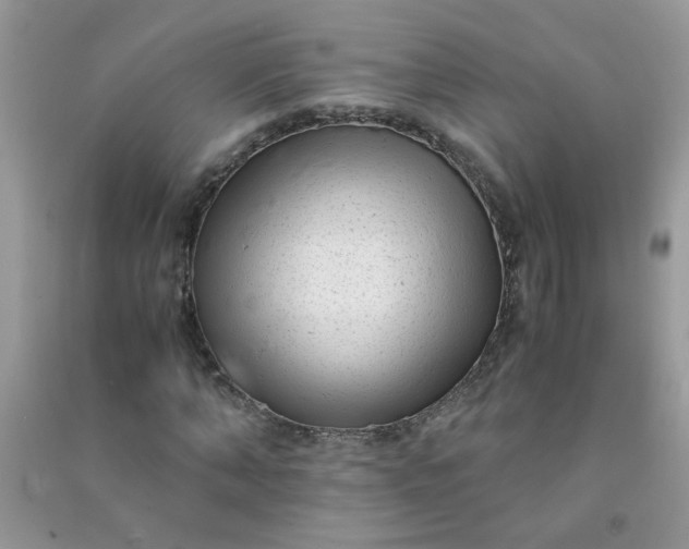 X0000091010870200708161956