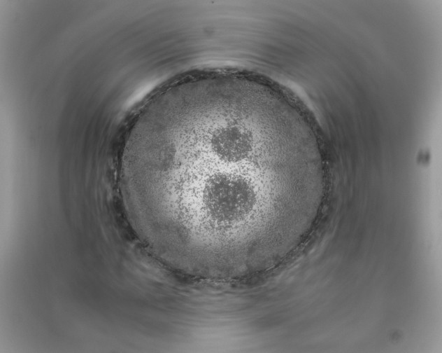 X0000091010871200708161956