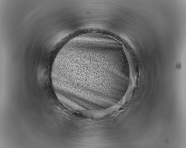 X0000091010872200708161956