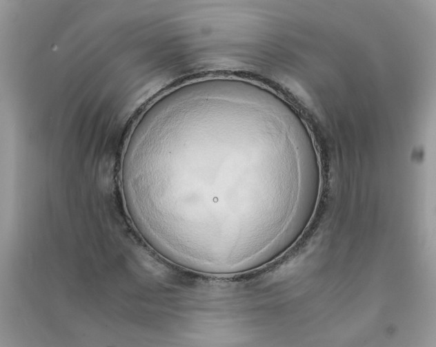 X0000091010873200708161956