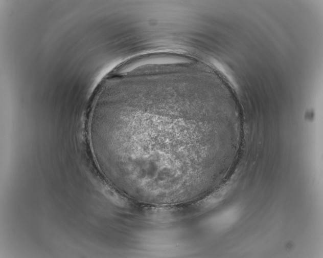 X0000091010875200708161956