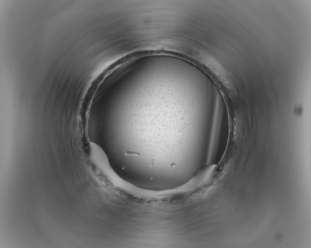 X0000091010876200708161956