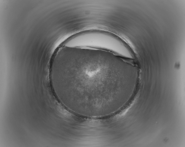 X0000091010877200708161956