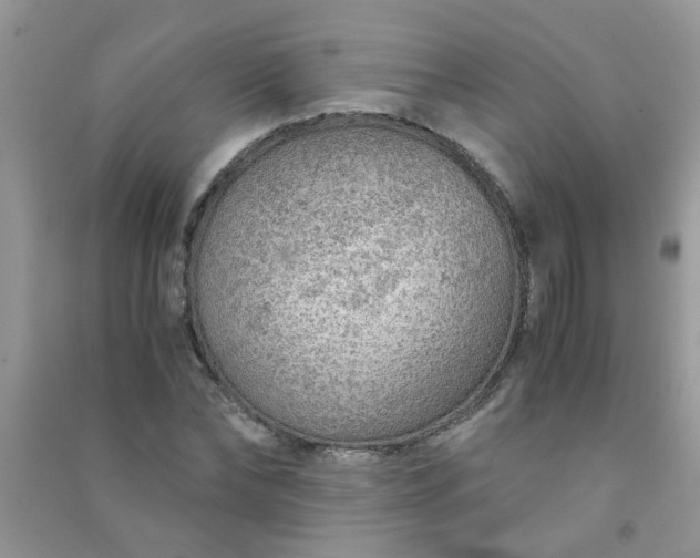 X0000091010878200708161956