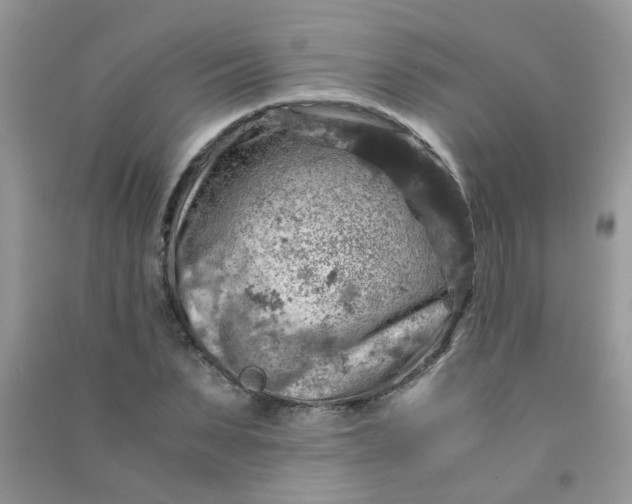 X0000091010879200708161956