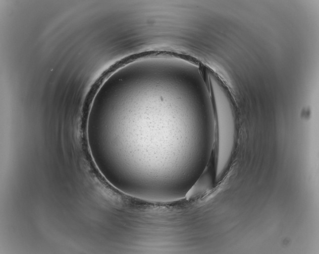 X0000091010880200708161956