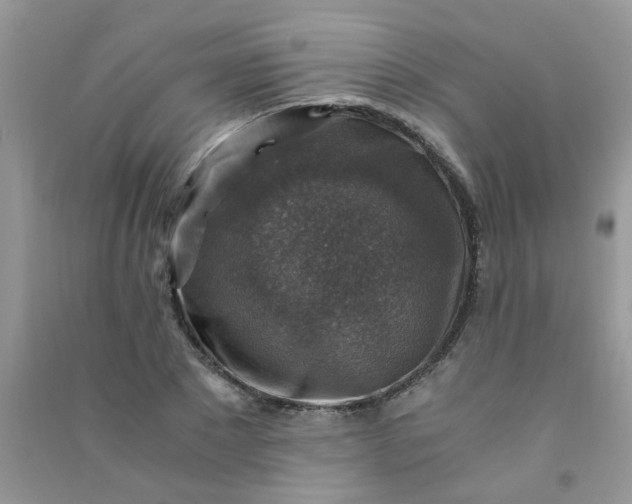 X0000091010881200708161956