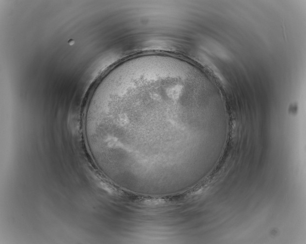 X0000091010882200708161956