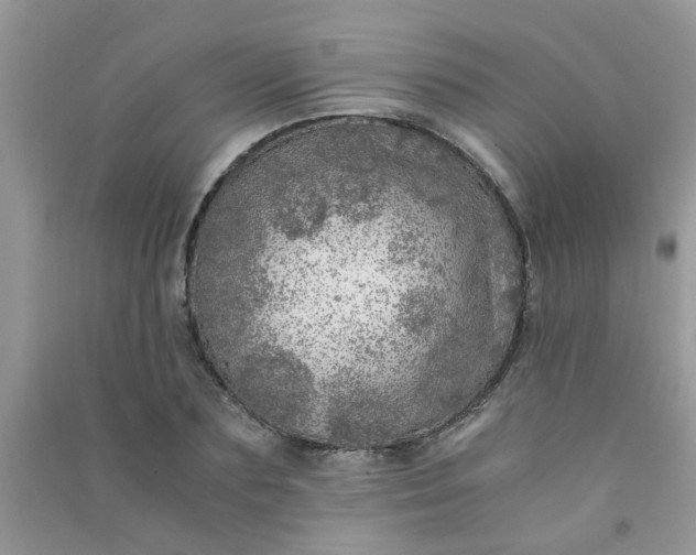 X0000091010883200708161956