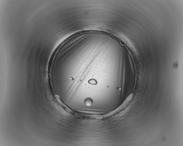 X0000091010884200708161956