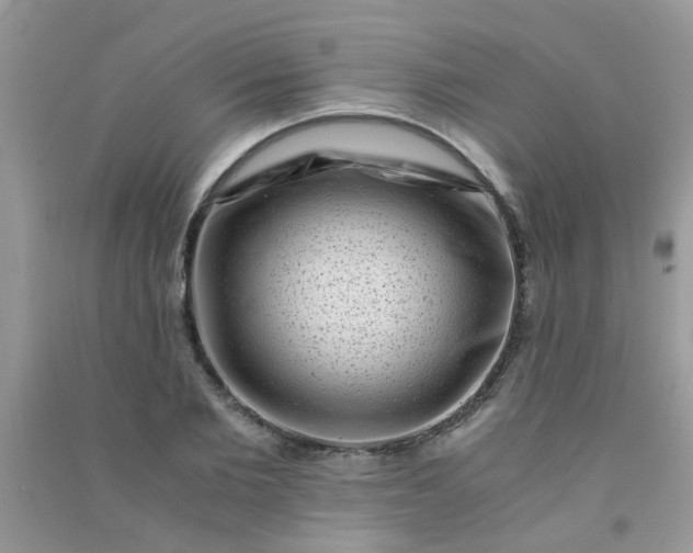 X0000091010885200708161956