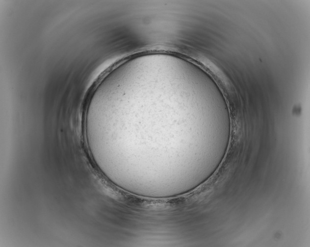 X0000091010886200708161956