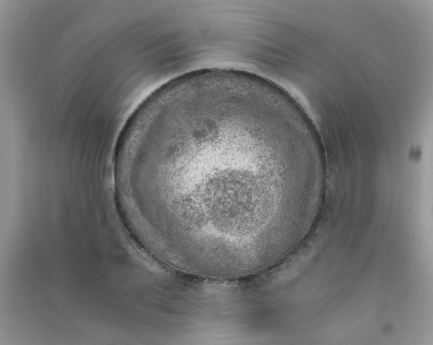 X0000091010887200708161956