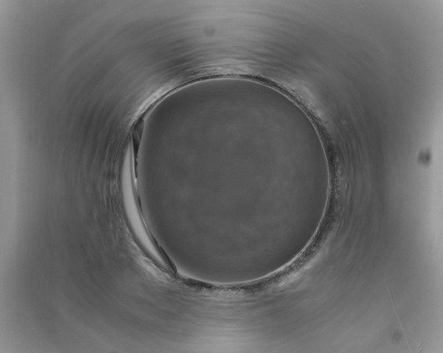 X0000091010889200708161956