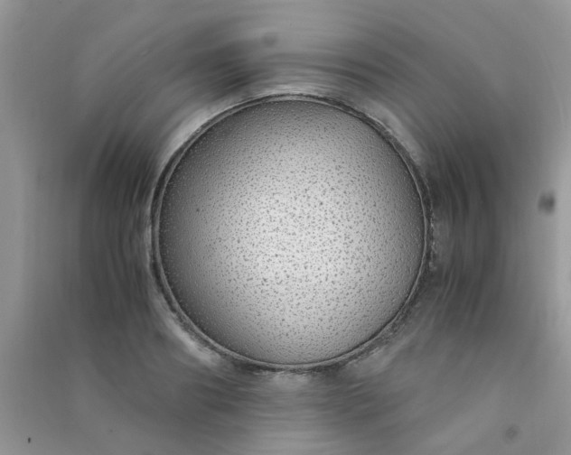 X0000091010890200708161956