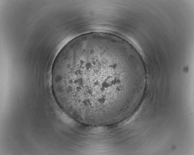 X0000091010891200708161956