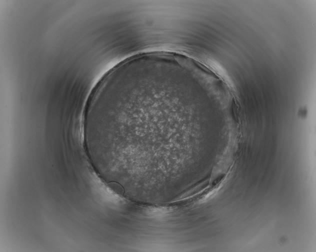 X0000091010892200708161956