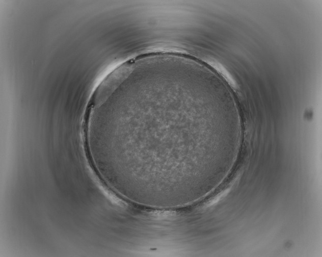 X0000091010893200708161956