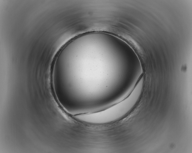 X0000091010894200708161956