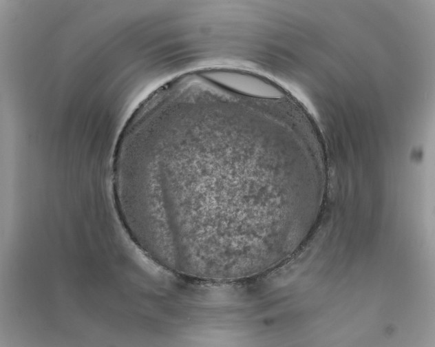 X0000091010895200708161956