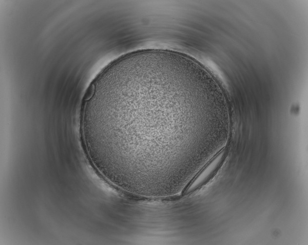 X0000091010896200708161956