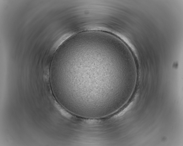 X0000091010897200708161956