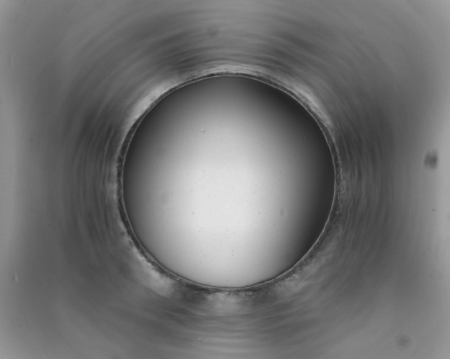 X0000091010898200708161956