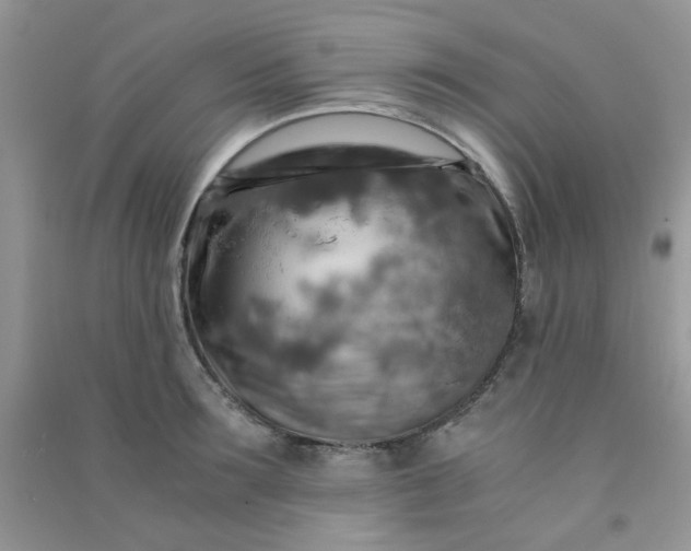 X0000091010899200708161956