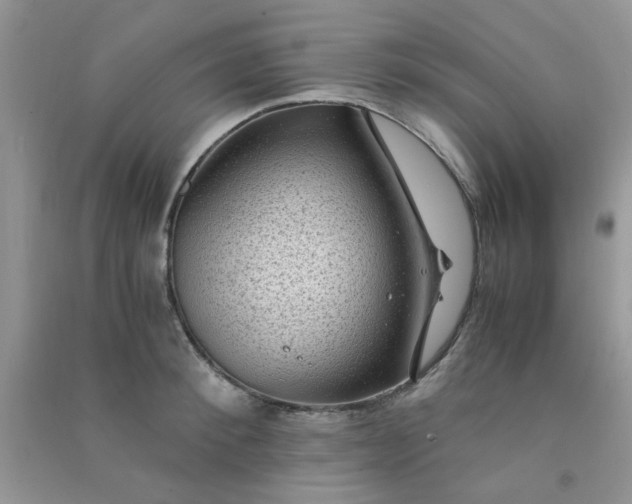 X0000091010900200708161956