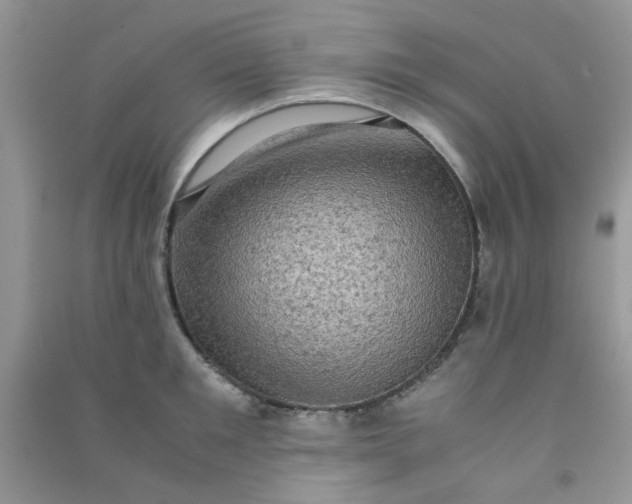 X0000091010901200708161956