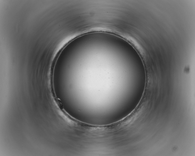 X0000091010902200708161956