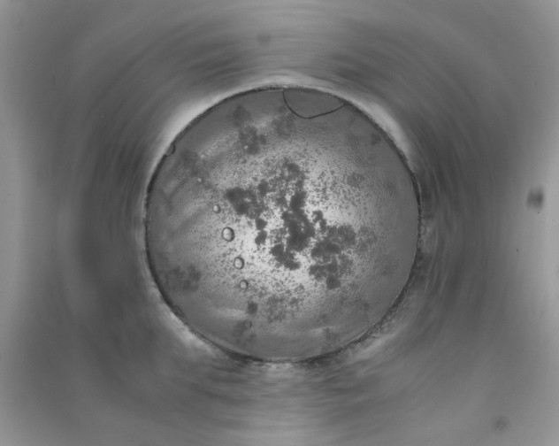 X0000091010903200708161956