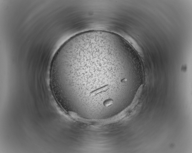 X0000091010904200708161956