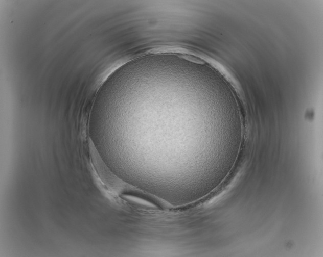 X0000091010905200708161956