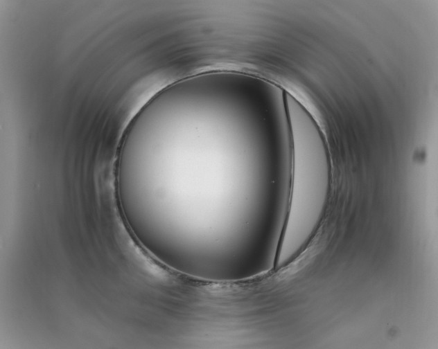 X0000091010906200708161956