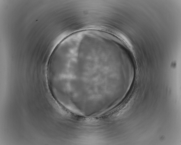 X0000091010907200708161956