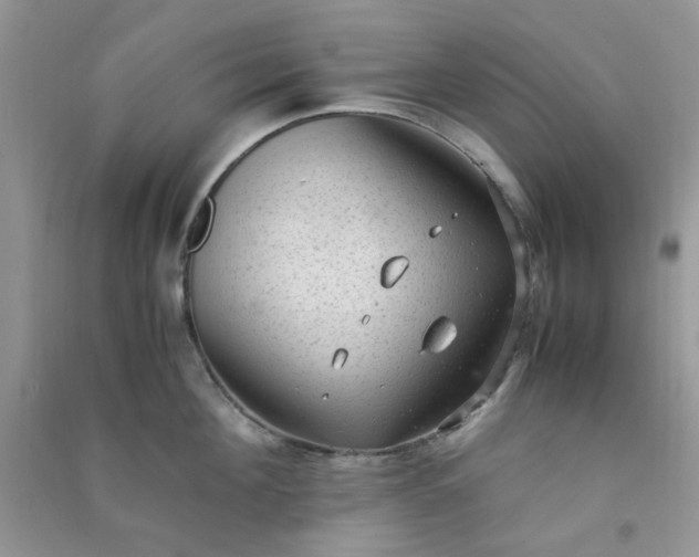 X0000091010908200708161956