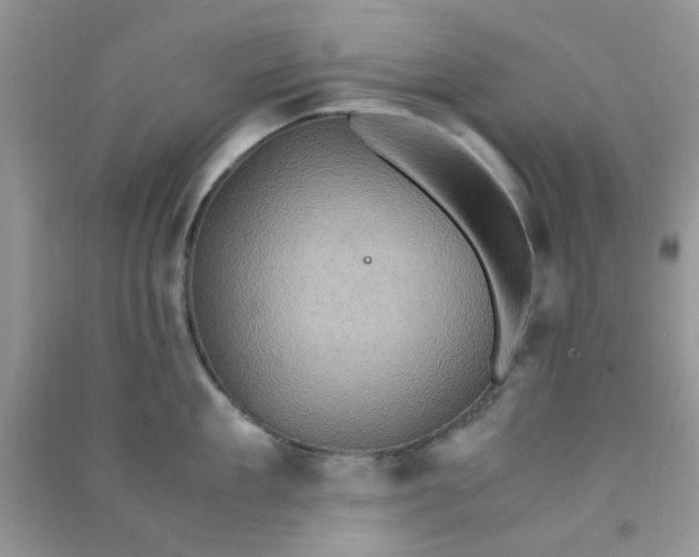 X0000091010909200708161956