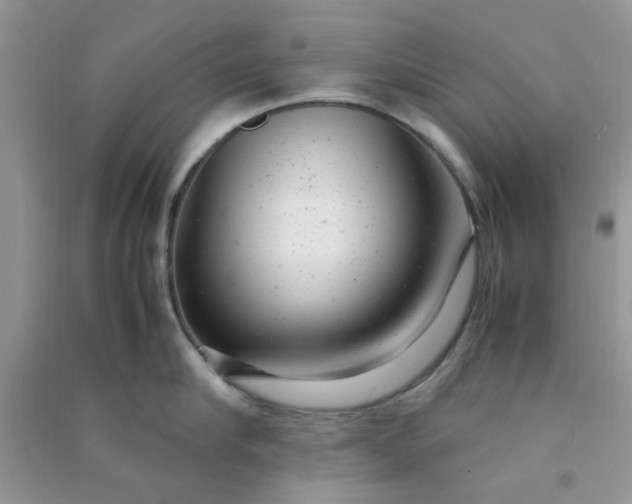 X0000091010910200708161956