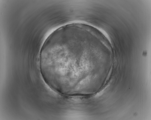 X0000091010911200708161956