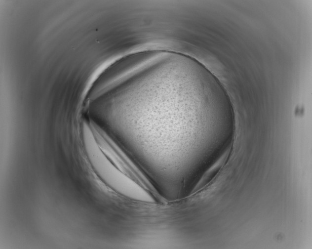 X0000091010912200708161956