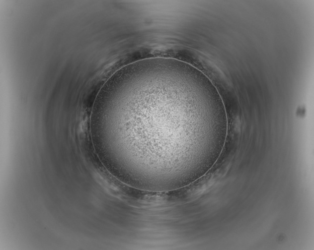 X0000091010914200708161955