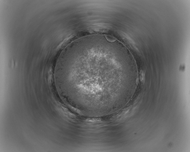 X0000091010915200708161955