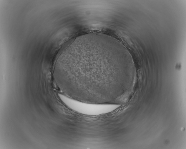 X0000091010916200708161955