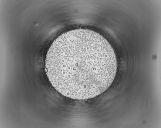 X0000091010918200708161955